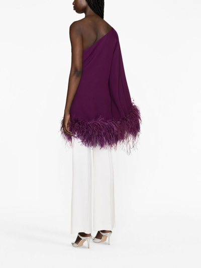 Taller Marmo Feather-trimmed One-shoulder Top In Pink