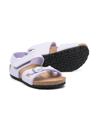 Shop Birkenstock Rio Touch-strap Sandals In Purple