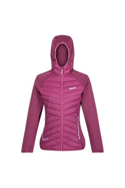 Shop Regatta Womens/ladies Andreson Vii Hybrid Jacket In Pink