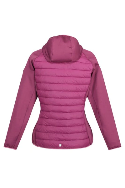 Shop Regatta Womens/ladies Andreson Vii Hybrid Jacket In Pink