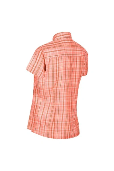 Shop Regatta Womens/ladies Mindano Vi Checked Short-sleeved Shirt In Orange