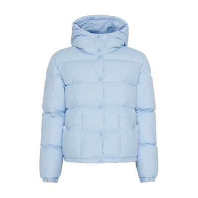 Shop Moncler Ebre Down Jacket In Baby_blue