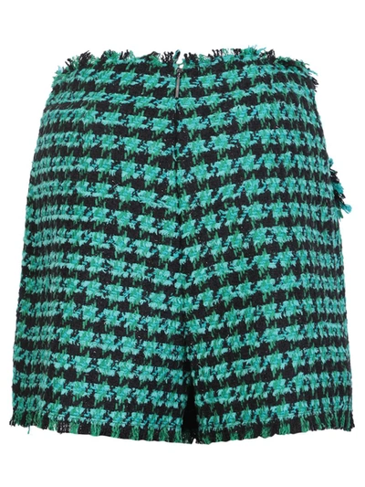 Shop Msgm Shorts In Green