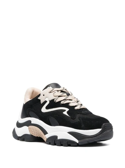 Shop Ash 'addict' Black Sneakers With White And Beige Inserts In Leather Woman