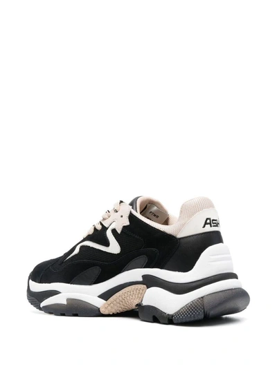Shop Ash 'addict' Black Sneakers With White And Beige Inserts In Leather Woman