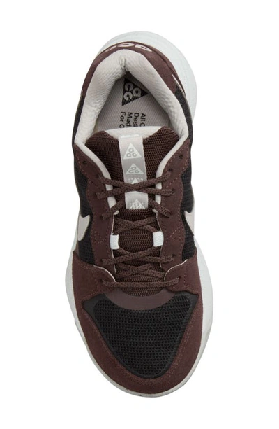 Shop Nike Acg Lowcate Hiking Sneaker In Earth/ Light Iron Ore/ Black