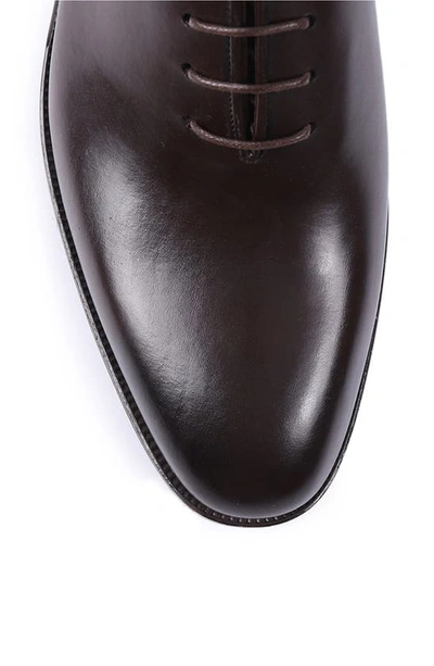 Shop Vellapais Peterson Leather Oxford In Dark Brown