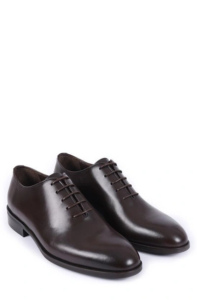 Shop Vellapais Peterson Leather Oxford In Dark Brown