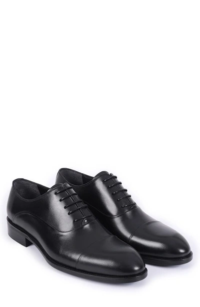 Shop Vellapais Taylor Leather Oxford In Black