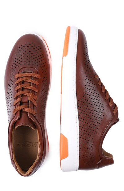 Shop Vellapais Miramar Perforated Leather Sneaker In Cognac