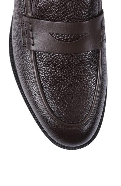 Shop Vellapais Montana Penny Loafer In Dark Brown