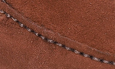 Shop Vellapais Anemone Horsebit Loafer In Medium Brown