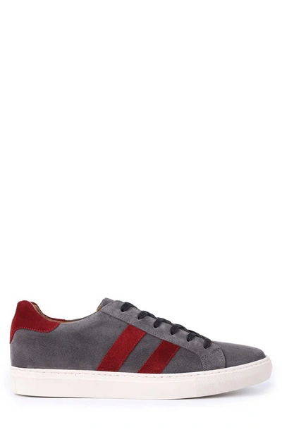 Shop Vellapais Palmetto Sneaker In Grey