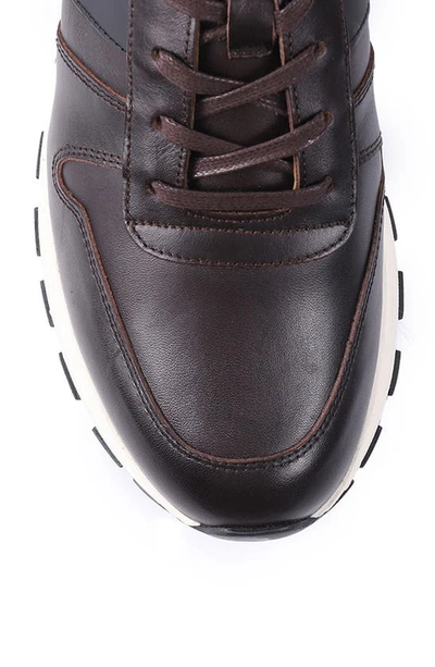 Shop Vellapais Hampton Sneakers In Dark Brown