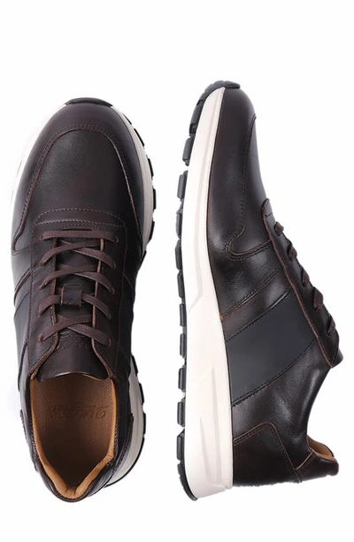 Shop Vellapais Hampton Sneakers In Dark Brown