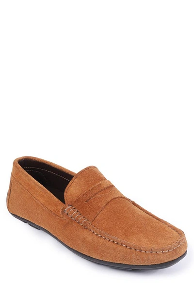Shop Vellapais Begonia Leather Driver Shoe In Tan