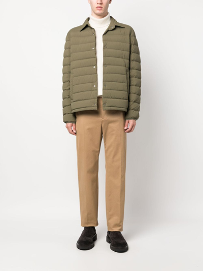 Shop Herno Padded Button-up Jacket In Green