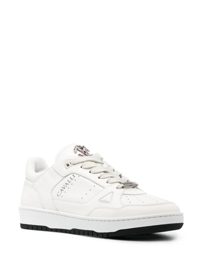 Shop Roberto Cavalli Lace-up Low-top Sneakers In White