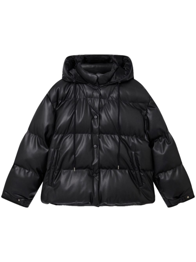 Stella Mccartney Stella Mc Cartney Altermat Hooded Puffer In Black