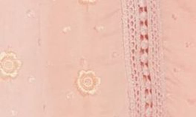 Shop Forgotten Grace Flutter Sleeve Embroidered Swiss Dot Blouse In Blush