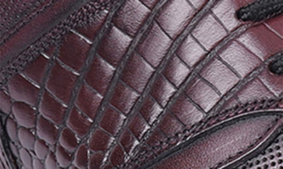 Shop Vellapais Camden Leather Sneaker In Burgundy