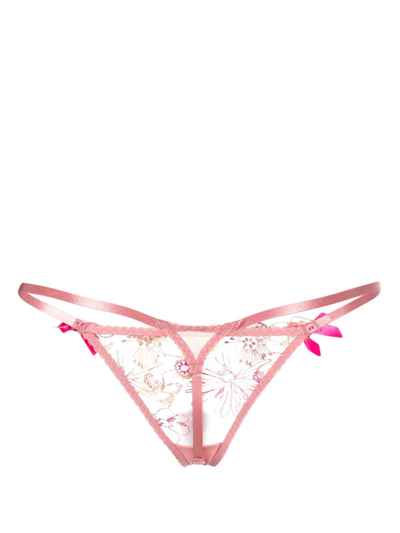 Shop Agent Provocateur Zuri Floral-lace Thong In Pink
