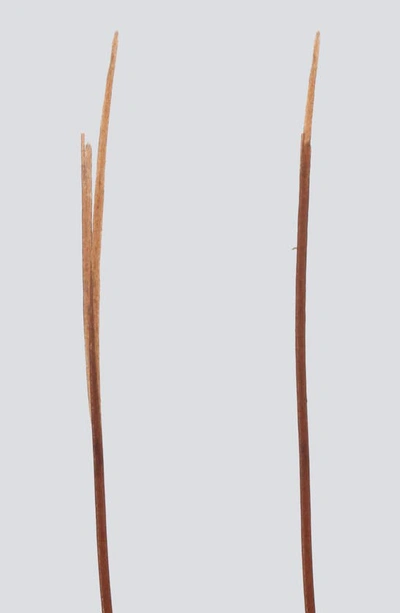 Virtue Perfect Ending Split End Serum 50ml