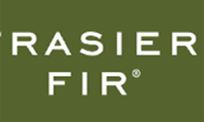 Pura X Thymes Frasier Fir 2-pack Diffuser Fragrance Refills In Green