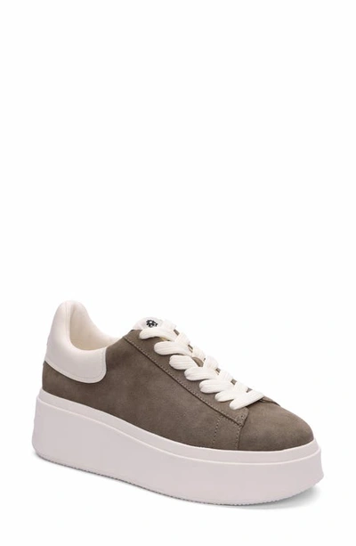 Shop Ash Moby Be Kind Platform Sneaker In Mud/ Off-white