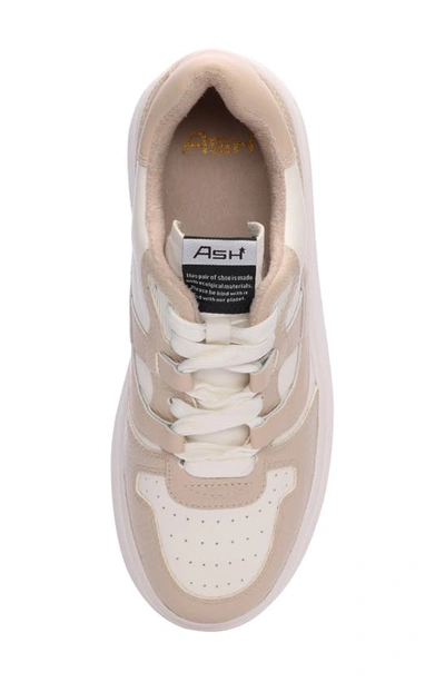 Ash Match Platform Sneaker In White Beige