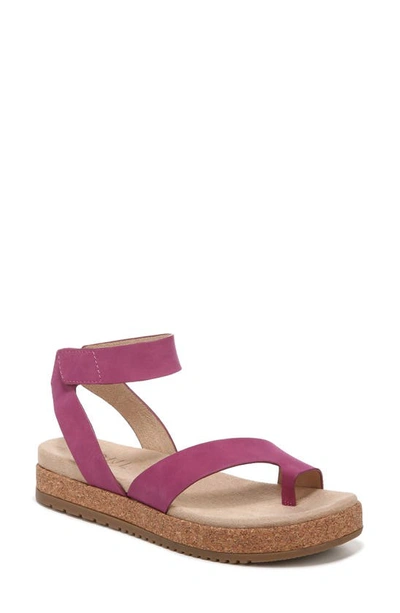 Shop Soul Naturalizer Divina Ankle Strap Sandal In Orchid Glow Purple Synthetic