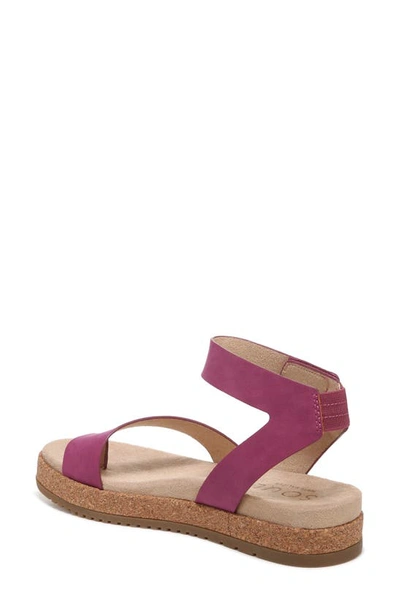 Shop Soul Naturalizer Divina Ankle Strap Sandal In Orchid Glow Purple Synthetic