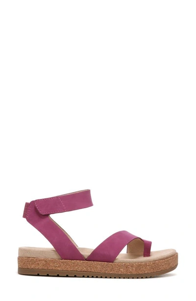 Shop Soul Naturalizer Divina Ankle Strap Sandal In Orchid Glow Purple Synthetic