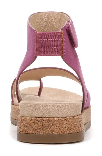 Shop Soul Naturalizer Divina Ankle Strap Sandal In Orchid Glow Purple Synthetic