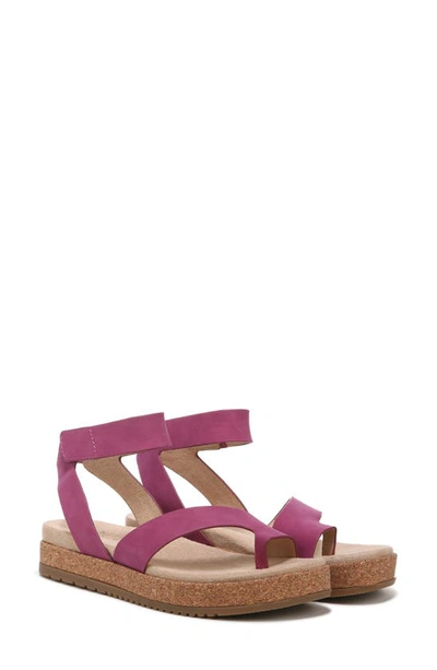 Shop Soul Naturalizer Divina Ankle Strap Sandal In Orchid Glow Purple Synthetic