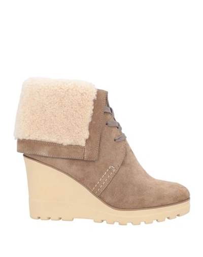 Shop See By Chloé Woman Ankle Boots Khaki Size 6 Shearling In Beige