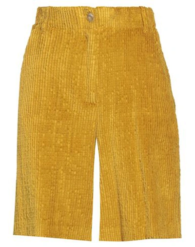 Shop Momoní Woman Shorts & Bermuda Shorts Mustard Size 6 Cotton, Modal, Elastane In Yellow