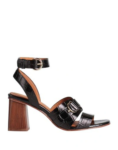 Shop Anaki Woman Sandals Black Size 6 Soft Leather