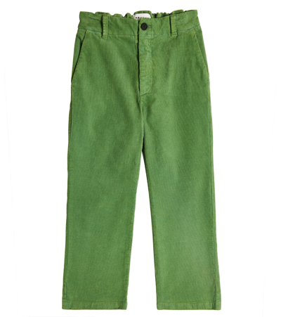 Shop Morley Cotton Pants In Green