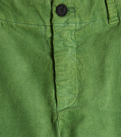 Morley Cotton Pants In Green