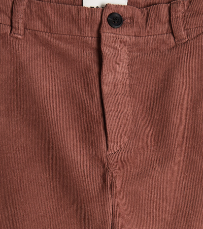 Shop Morley Cotton Pants In Red