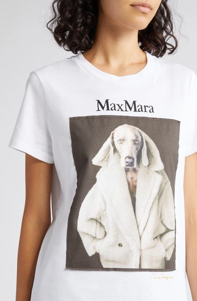 Shop Max Mara Wegman Cotton Graphic T-shirt In White