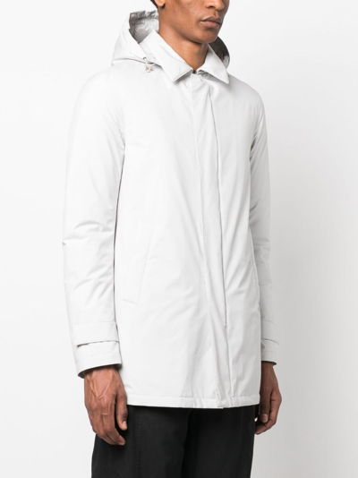 Shop Herno Detachable-hood Feather-down Jacket In Neutrals