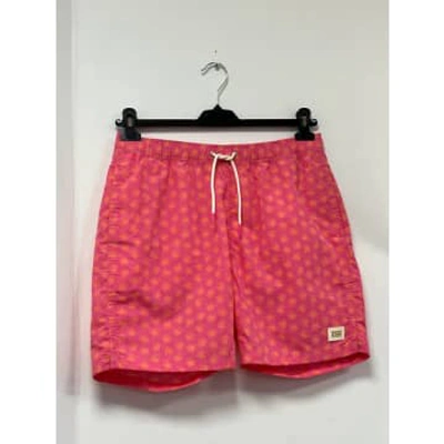 Shop Scotch & Soda 172415 Mini Printed Swimshort In Pink
