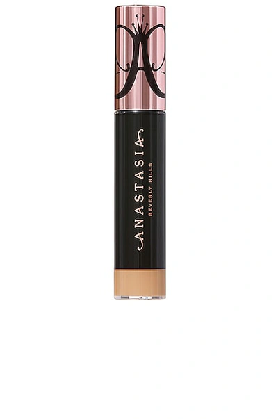 Anastasia Beverly Hills Magic Touch Concealer In 14