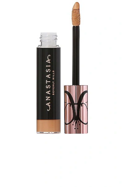 Shop Anastasia Beverly Hills Magic Touch Concealer In 18