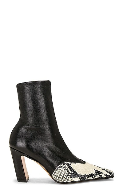 Shop Khaite Nevada Ankle Stretch Boot In Black & Natural