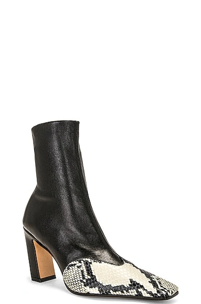 Khaite The Dallas 85mm Leather Ankle Boots In Black & Natural