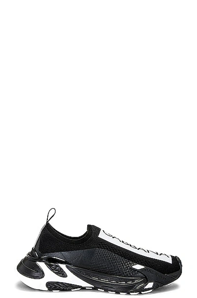 Shop Dolce & Gabbana Sorrento Sneaker In Black & White