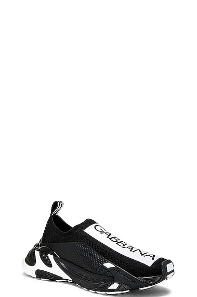 Shop Dolce & Gabbana Sorrento Sneaker In Black & White